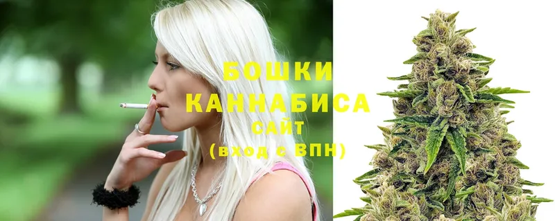 купить наркотики цена  Мосальск  Конопля SATIVA & INDICA 